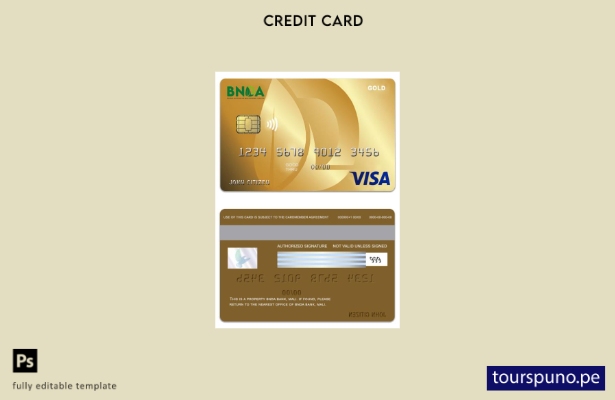 lista para imprimir plantilla de tarjeta visa dorada de Mali BNDA Bank